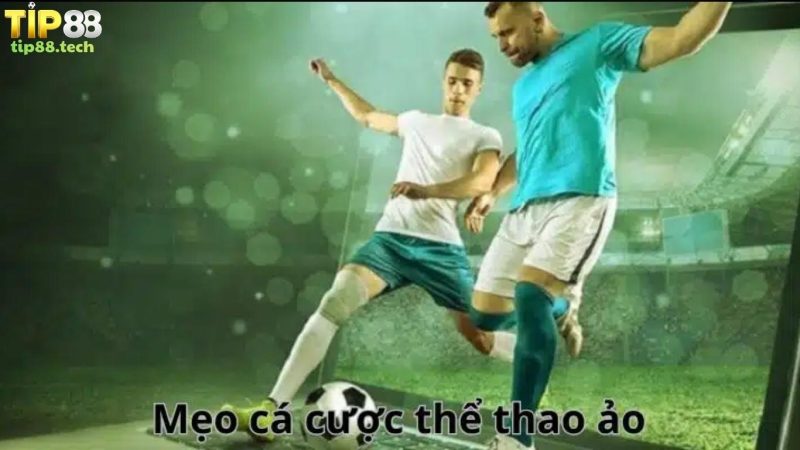 Chia sẻ những cách cá cược thể thao ảo Tip88 hiệu quả